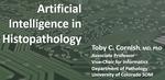 Artificial Intelligence in Histopathology